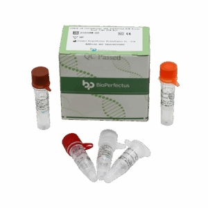 Kit de PCR de Coronavírus e Influenza A/B Virus em Tempo Real