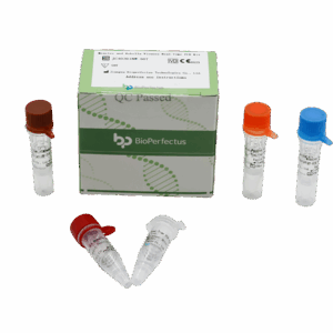 Jogo de PCR de sarampo e rubéola