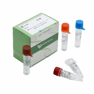 Kit de PCR de Influenza A e B em tempo real