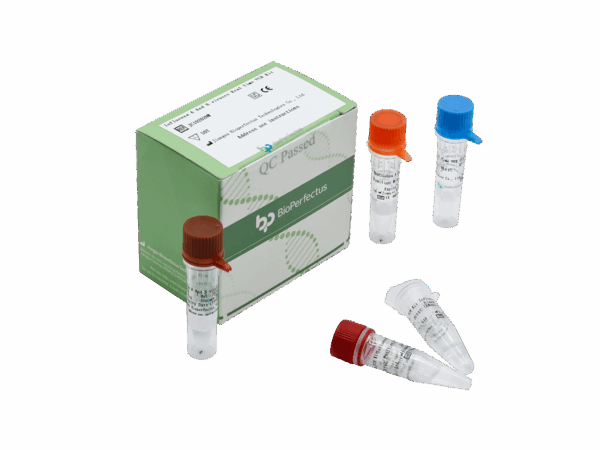 Kit de PCR de Influenza A e B em tempo real