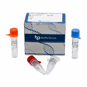 Kit de PCR de Plasmodium DNA em tempo real