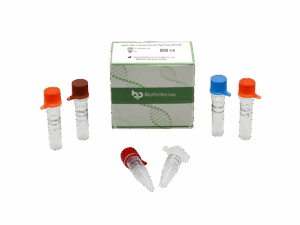 SARS-CoV-2 Variante B.1.617 Kit de PCR em tempo real