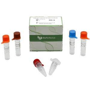 SARS-CoV-2 Variante B.1.617 Kit de PCR em tempo real