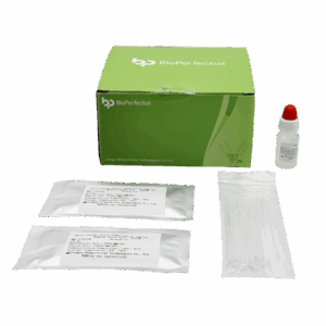 Novo Corona Virus (SARS-CoV-2) Kit de Teste Rápido IgM/IgG