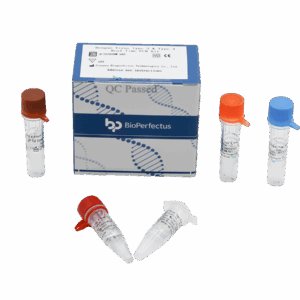 Vírus da Dengue Tipo 3 & Tipo 4 Kit PCR em Tempo Real