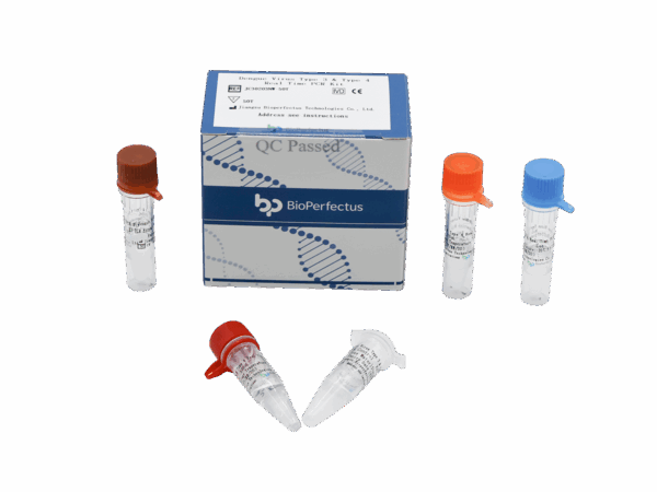 Vírus da Dengue Tipo 3 & Tipo 4 Kit PCR em Tempo Real
