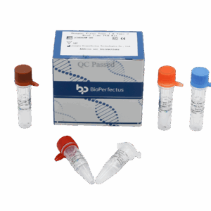 Vírus da Dengue Tipo 1 & Tipo 2 Kit de PCR em Tempo Real