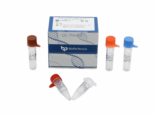 Vírus da Dengue Tipo 1 & Tipo 2 Kit de PCR em Tempo Real