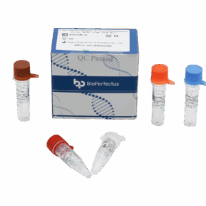 Zika Virus / Dengue Virus / Chikungunya Virus Real Time PCR Kit