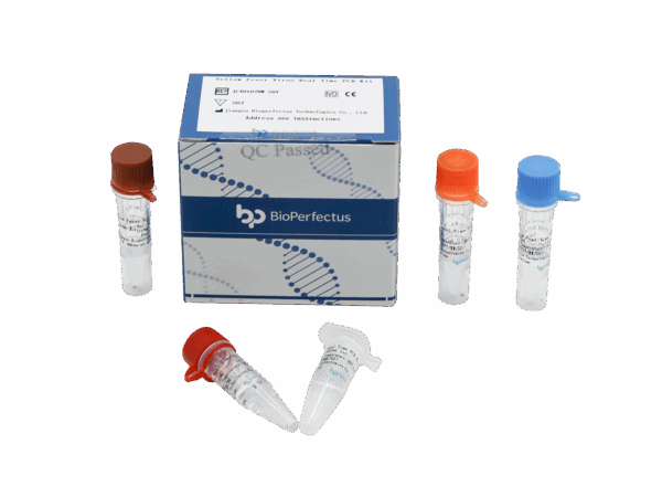 Vírus Amarelo Fever em Tempo Real PCR Kit