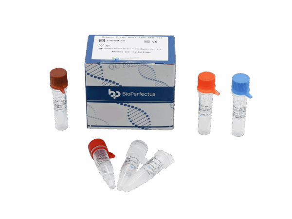 Vírus da Dengue em tempo real PCR Kit