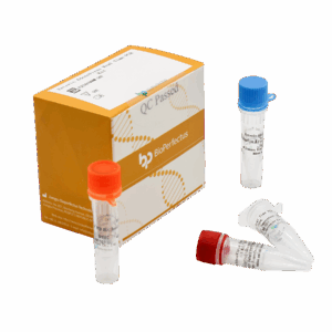 Kit PCR do Adenovírus em Tempo Real Enteric