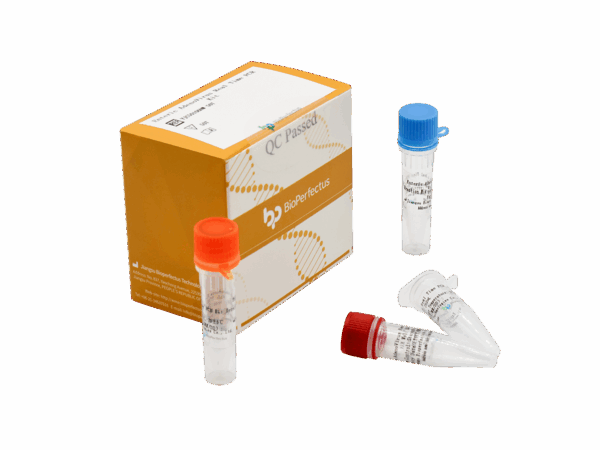 Kit PCR do Adenovírus em Tempo Real Enteric