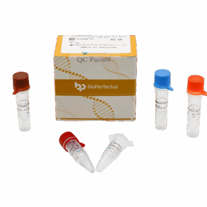 Kit de PCR de Clostridioides difficile em tempo real