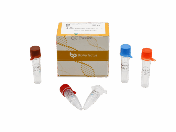 Kit de PCR de Clostridioides difficile em tempo real