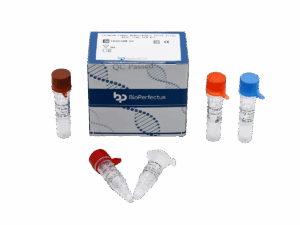 Jogo de PCR de Fênu de Feus Hemorrágico da Crimeão-Congo
