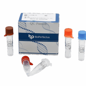Jogo de West Nile Viru em Tempo Real PCR Kit