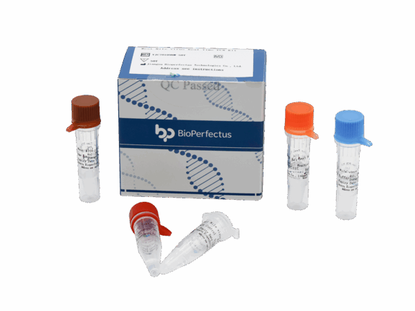 Jogo de West Nile Viru em Tempo Real PCR Kit