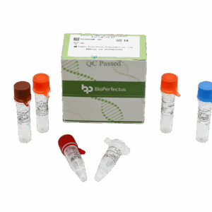 Allfastra SARS-CoV-2/FluA/FluB/RSV Kit de PCR em tempo real