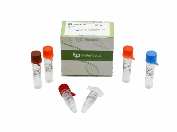 Allfastra SARS-CoV-2/FluA/FluB/RSV Kit de PCR em tempo real