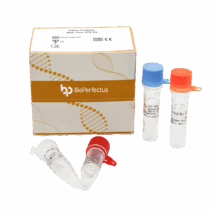 Kit de PCR de Vibrio Cholerae em tempo real