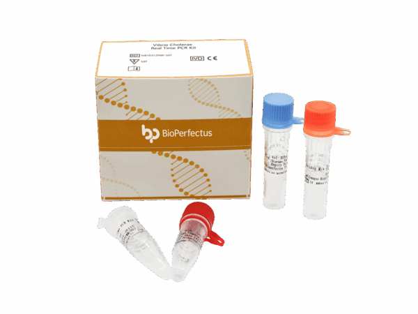 Kit de PCR de Vibrio Cholerae em tempo real
