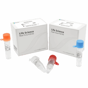 Kit de PCR em tempo real Vibrio Cholerae (RUO)