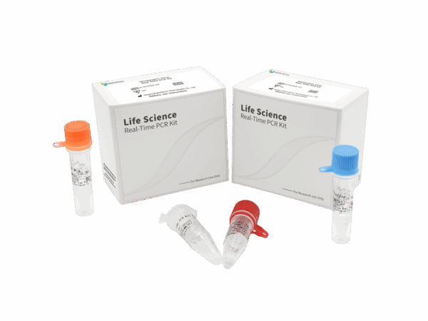 Kit de PCR em tempo real Vibrio Cholerae (RUO)