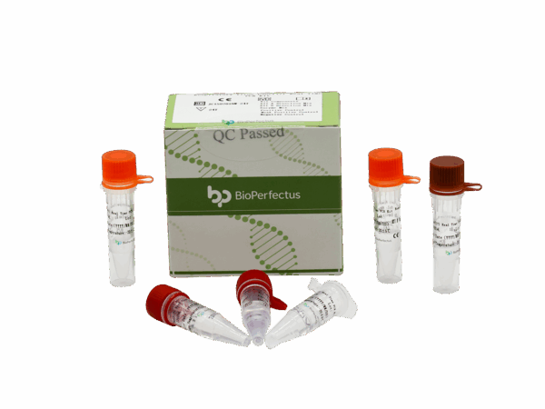 Painel de Vírus Respiratório (7) Kit de PCR em Tempo Real