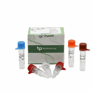 Jogo de PCR em tempo real Influenza A (H1N1 & H3)
