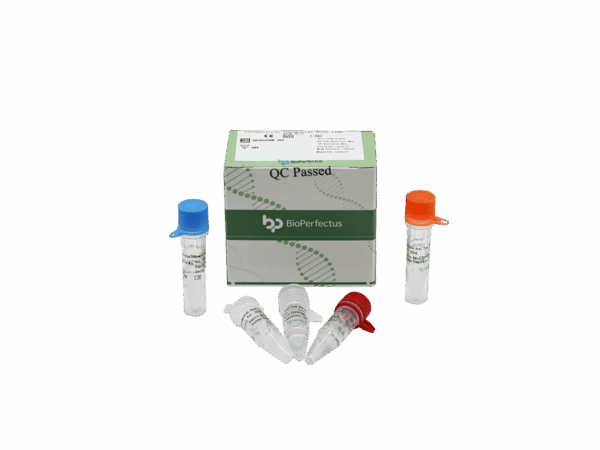 Streptococcus Pneumoniae Kit PCR em tempo real