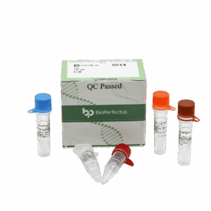Jogo de PCR do Vírus da Gripe N6