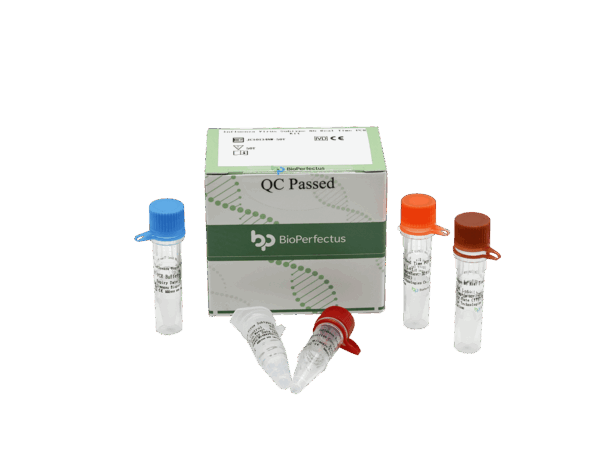 Jogo de PCR do Vírus da Gripe N6