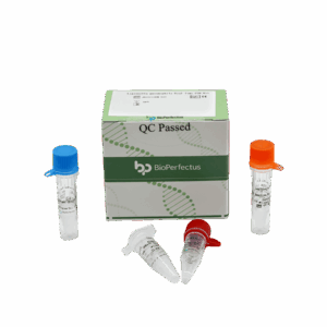 Kit de PCR de Legionella Pneumophila em tempo real