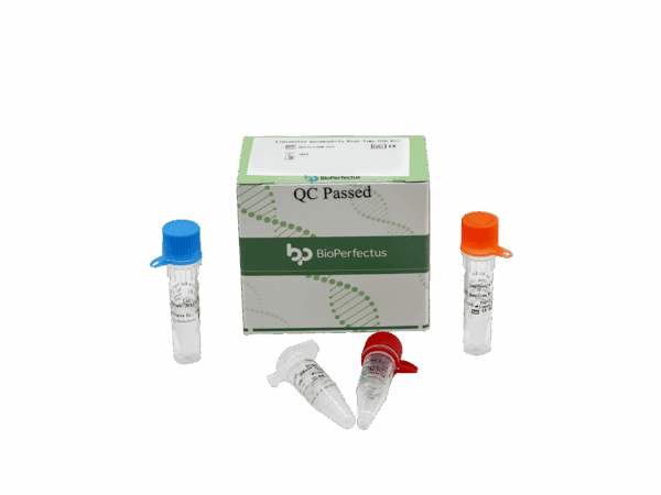 Kit de PCR de Legionella Pneumophila em tempo real