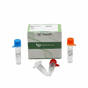 Kit de PCR de Legionella em tempo real