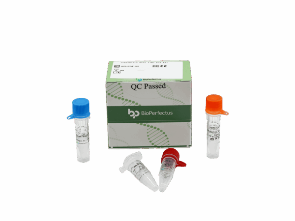 Kit de PCR de Legionella em tempo real