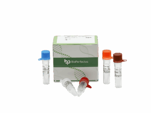 Kit de PCR MERS-CoV em tempo real
