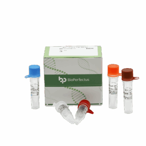 Kit de PCR MERS-CoV em tempo real