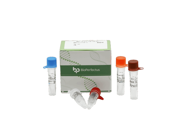 Kit de PCR MERS-CoV em tempo real