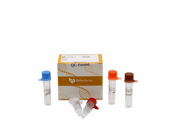Kit de PCR em tempo real do Astrovirus