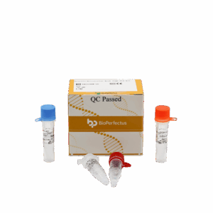 Kit de PCR de Clostridium botulinum em tempo real