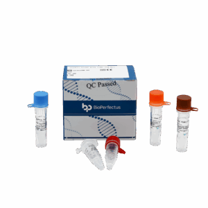 Kit de PCR do Sindbis Viragre em Tempo Real