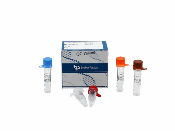 Kit de PCR do Sindbis Viragre em Tempo Real