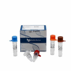 Febre com Thrombocytopenia Syndrome Virus Jogo de PCR em tempo real