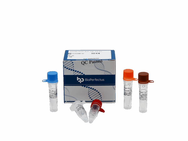 Febre com Thrombocytopenia Syndrome Virus Jogo de PCR em tempo real