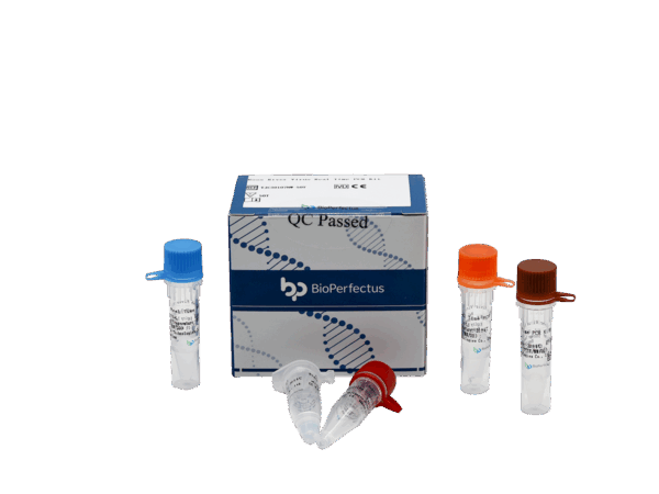 Jogo de Ross River Virus em tempo real PCR