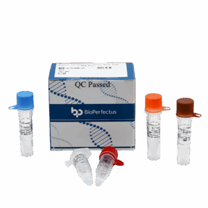 Jogo de PCR de Encefalite Japonesa em Tempo Real