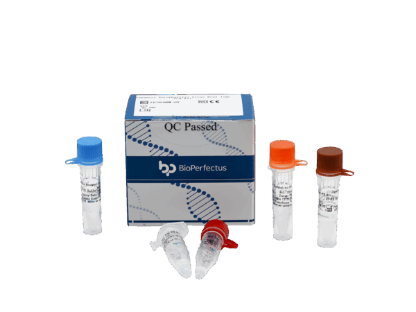 Jogo de PCR de Encefalite Japonesa em Tempo Real