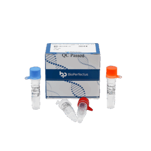 Kit de PCR de Anaplasma Phagocytophilum em tempo real